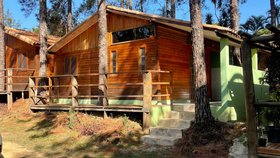 Chalé entre pinheiros